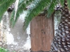 p1000431