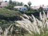 p1050137