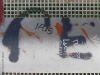 p1050193