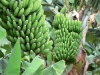 p1050208
