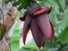 p1050211