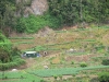 p1050634