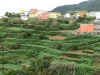 p1050637