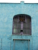 p1070016