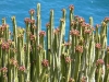 p1080711