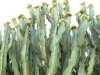 p1090143
