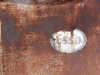 p1090156