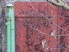 rimg0018